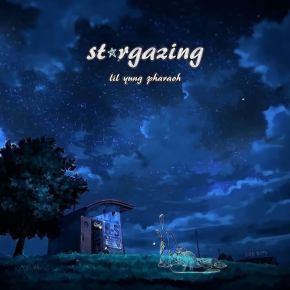 Picture of Stargazing