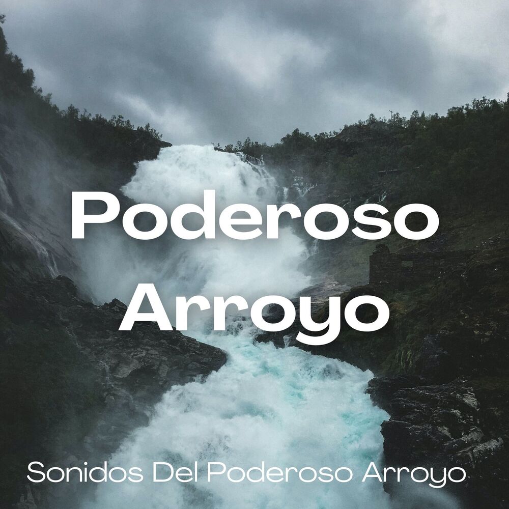 Picture of Sonidos Del Poderoso Arroyo