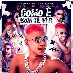 Cover of Como é Bom te Ver