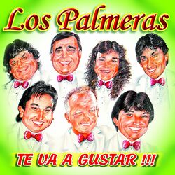 Cover of Te Va A Gustar