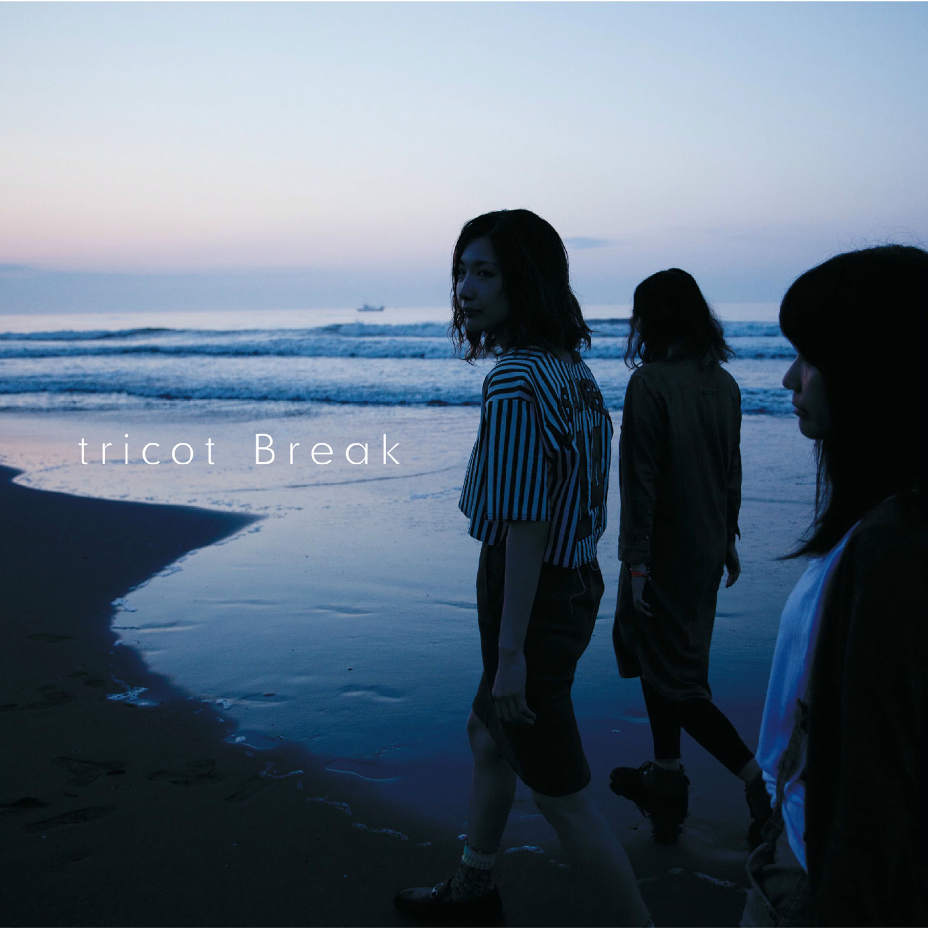 Album cover of Break