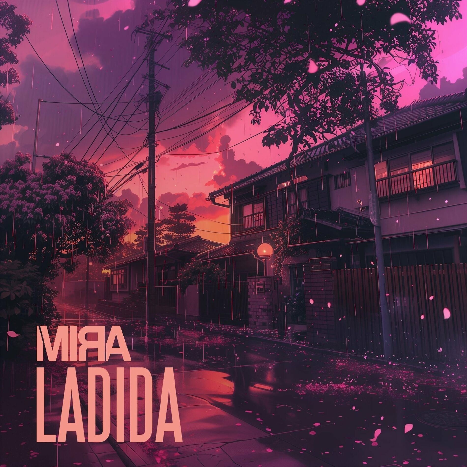 Album cover of Ladida