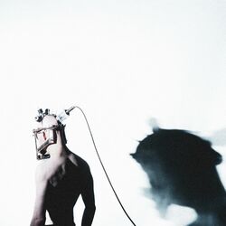 Cover of What I'll Leave Behind