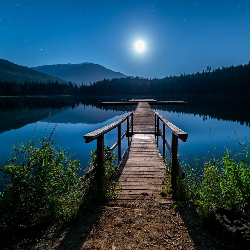 Picture of Moonlight Bay