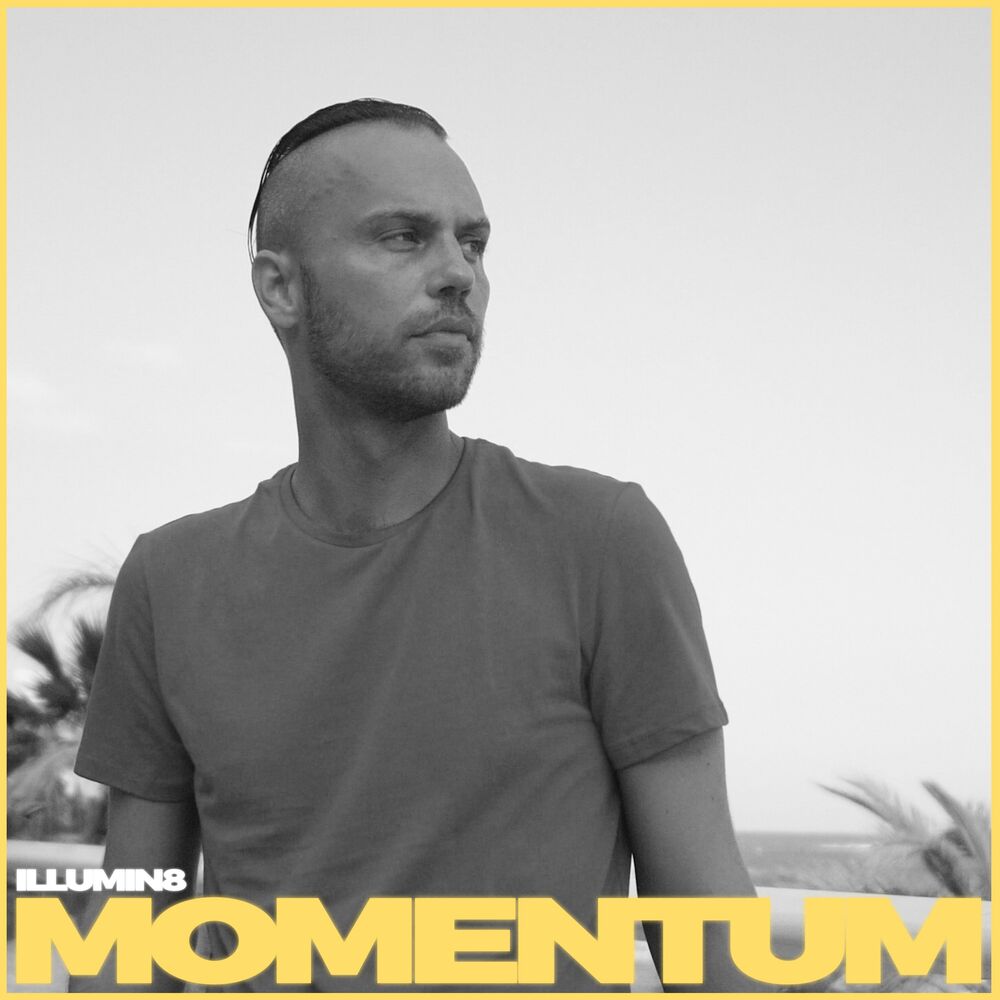 Picture of Momentum