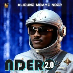 Cover of NDER 2.0