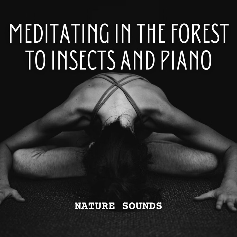 Picture of Nature Sounds: Meditating in the Forest to Insects and Piano