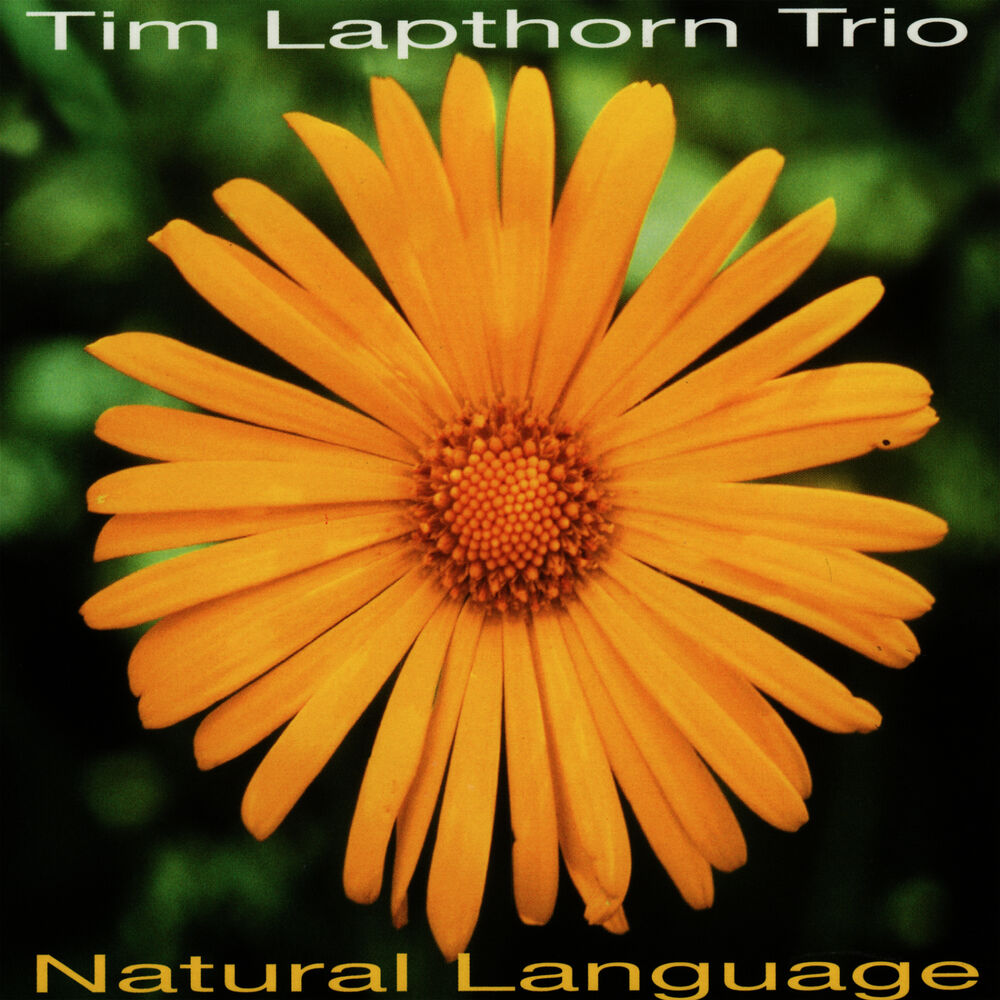 Picture of Natural Language