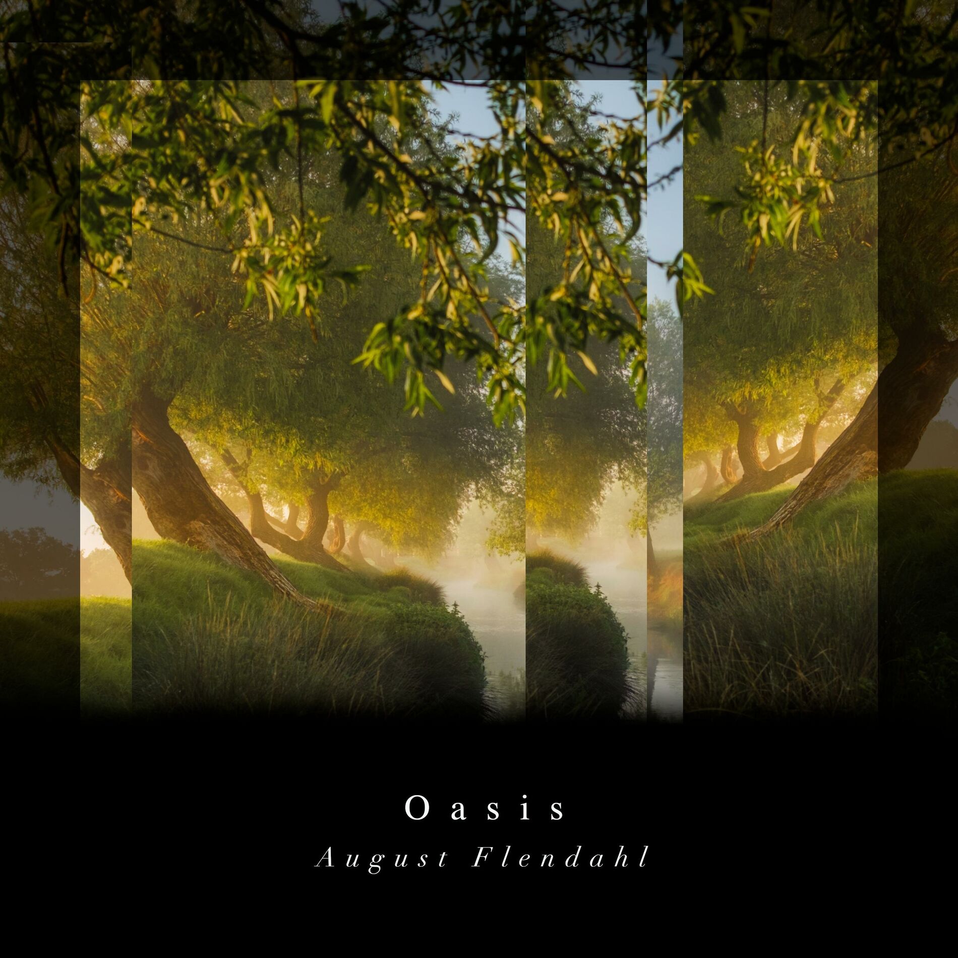 Album cover of Oasis