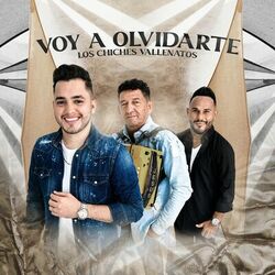 Cover of Voy A Olvidarte