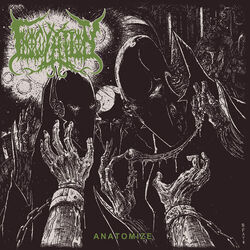 Cover of Anatomize