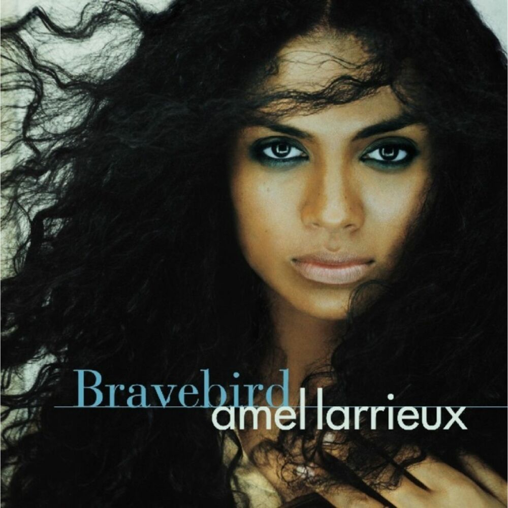 Picture of Bravebird