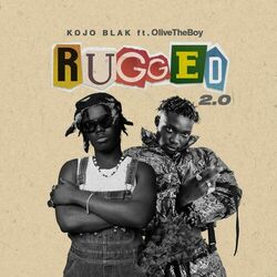 Cover of Rugged 2.0