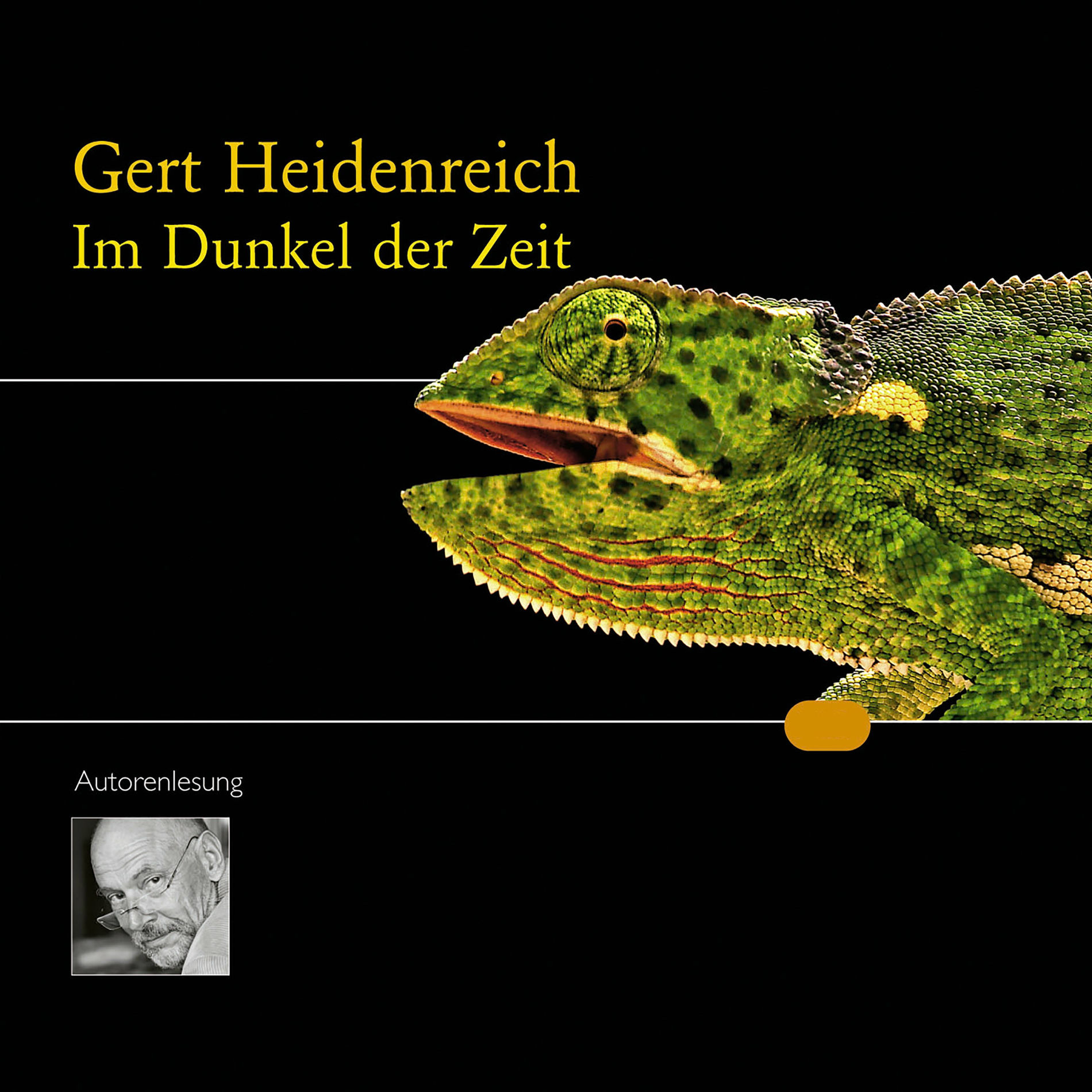 Album cover of Im Dunkel der Zeit