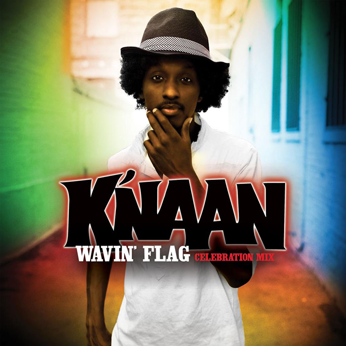 Album cover of Wavin' Flag