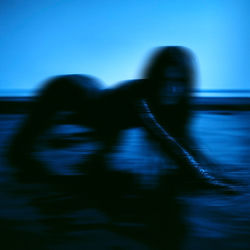 Cover of la de arca by undefined