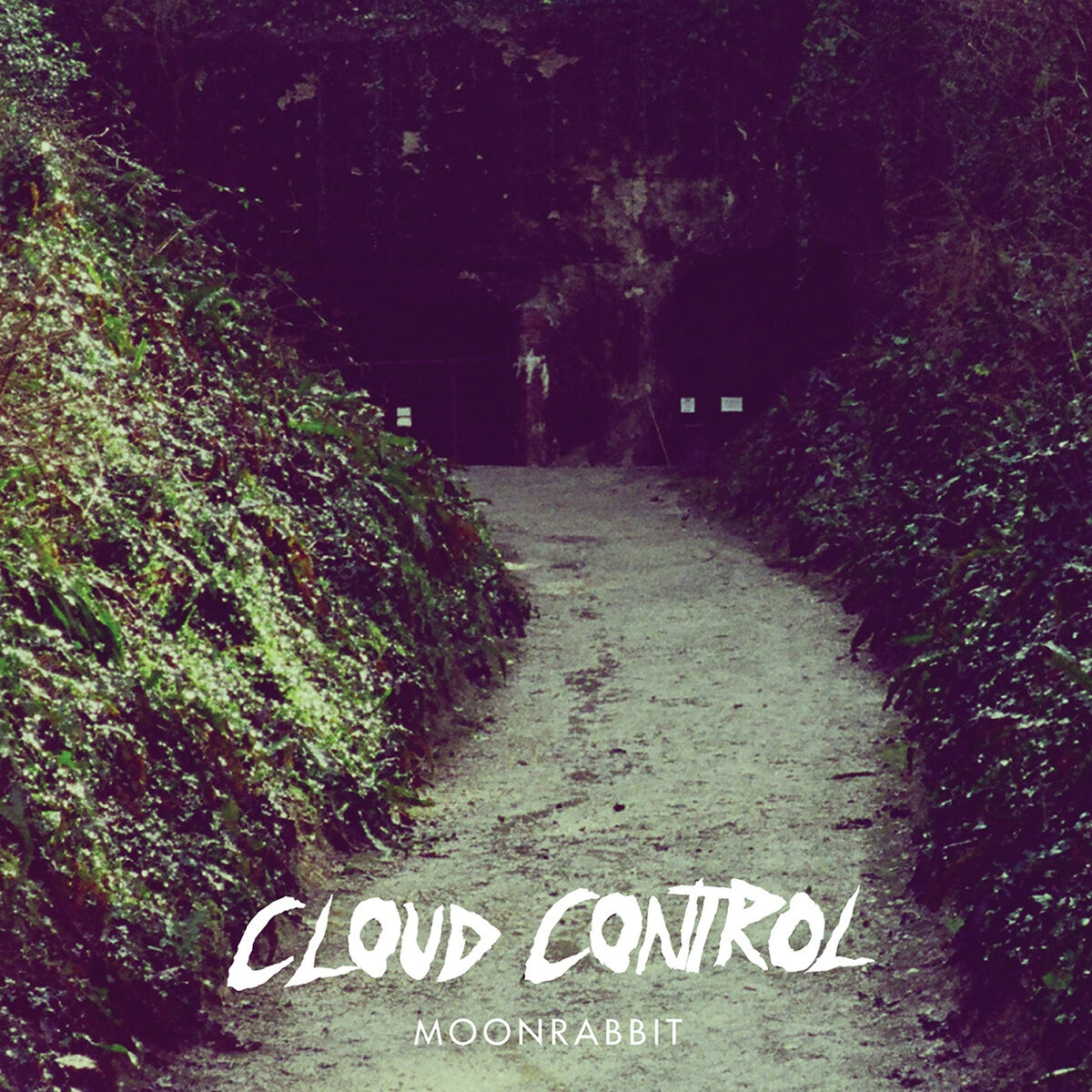 Album cover of Moonrabbit