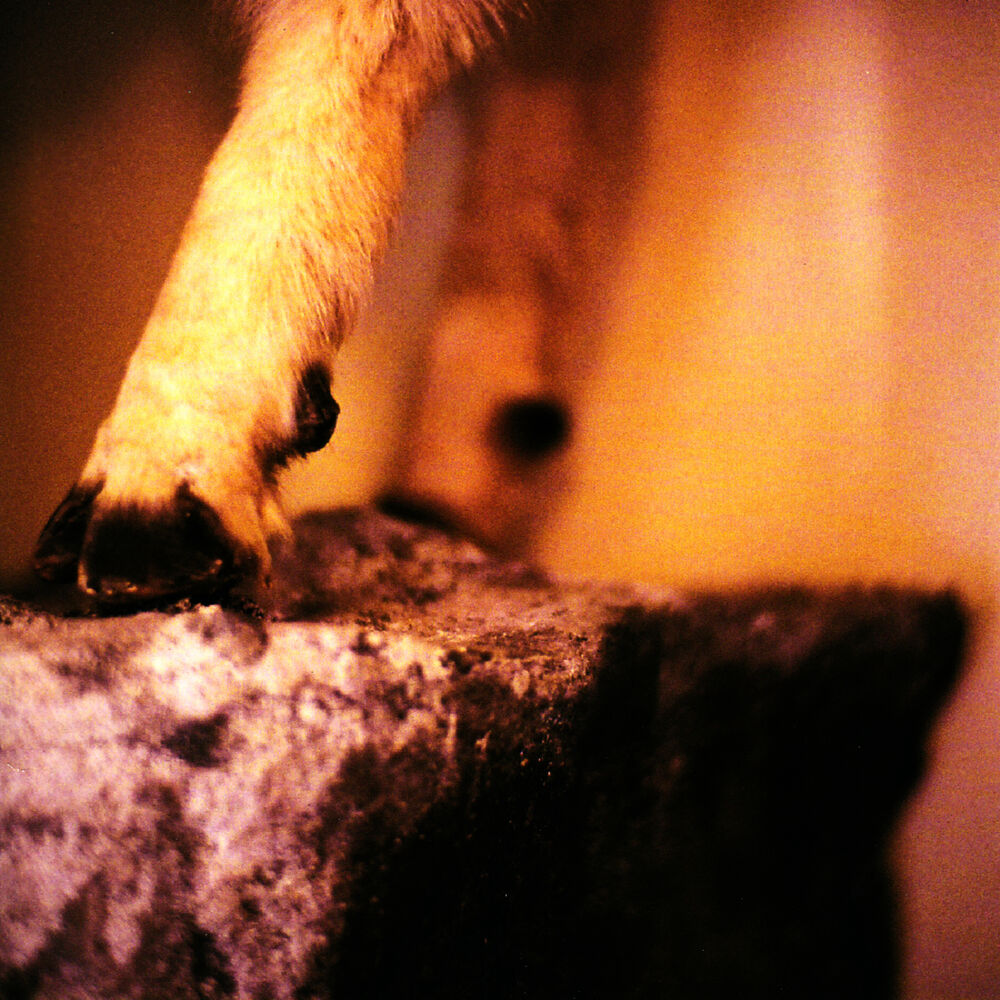 Picture of At the Natural History Museum