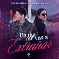 Cover of Me Vas a Extrañar