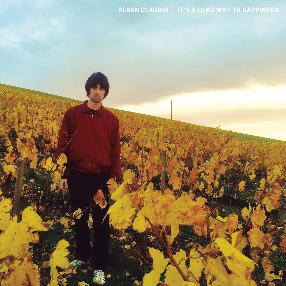 Album cover of It's a Long Way to Happiness