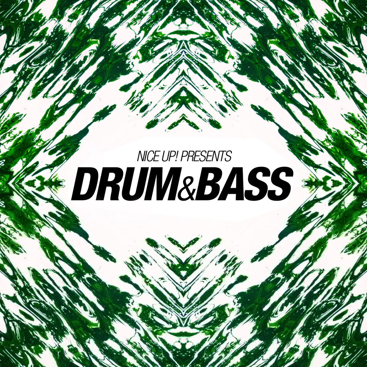 Album cover of NICE UP! Presents Drum & Bass