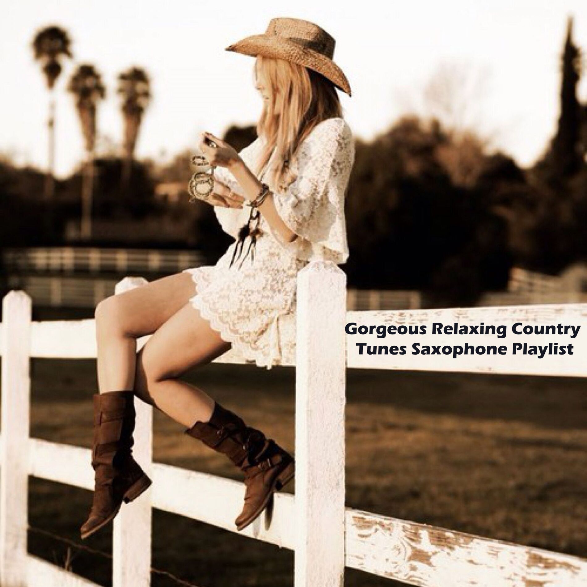 Album cover of Gorgeous Relaxing Country Tunes Saxophone Playlist
