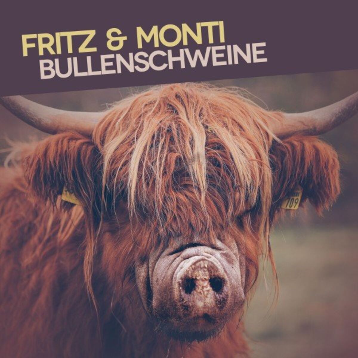 Album cover of Bullenschweine