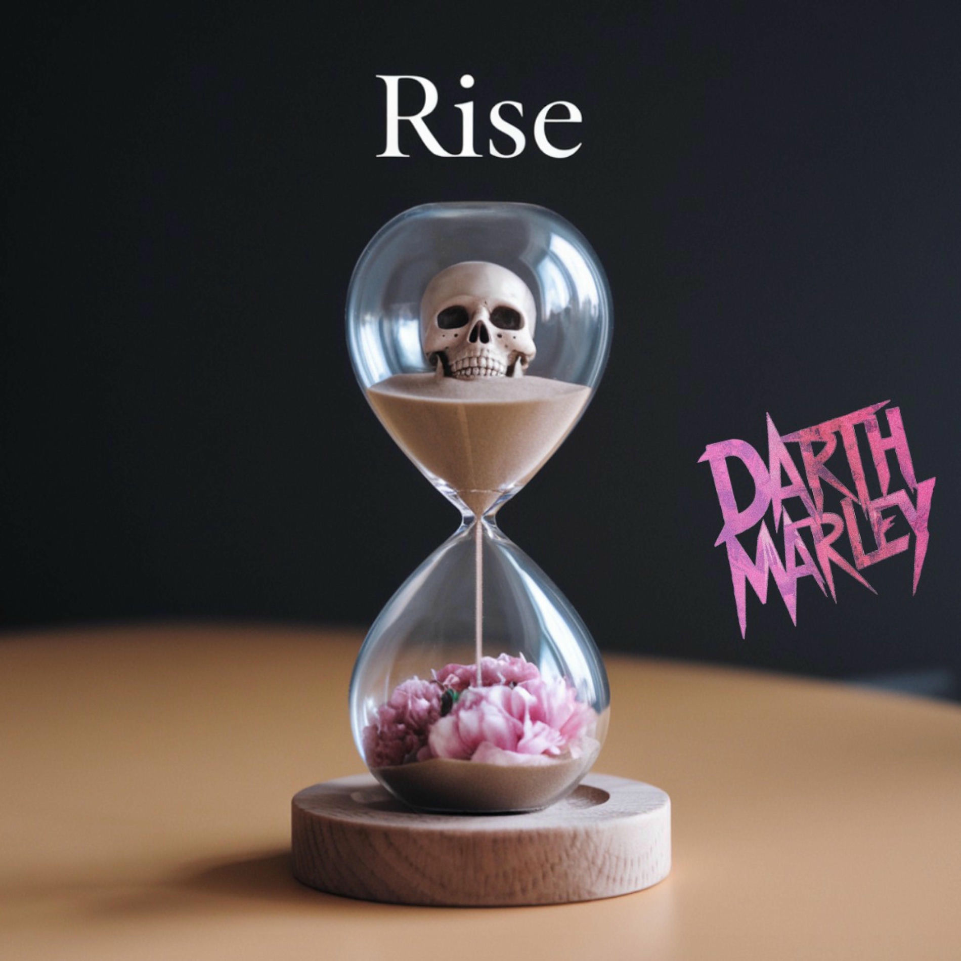 Album cover of RISE