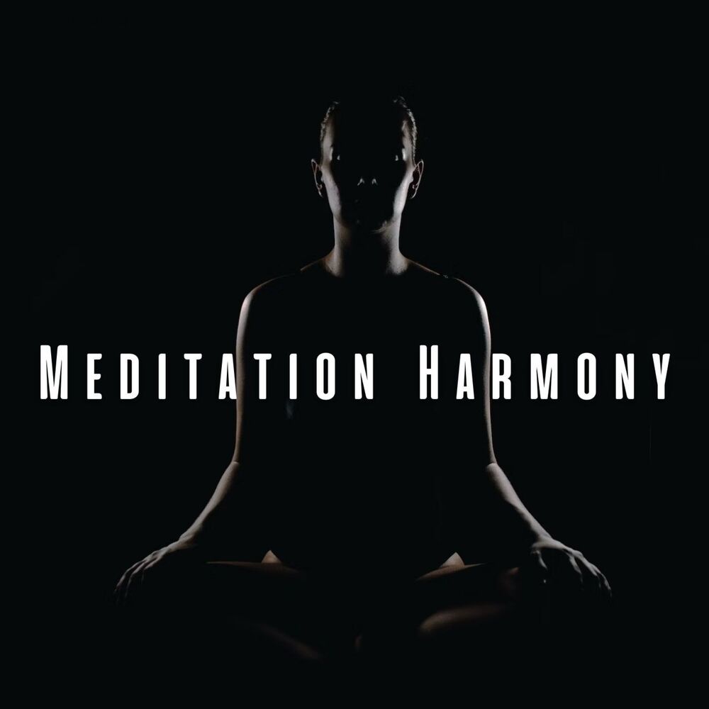 Picture of Meditation Harmony: Chill Music for Mindful Retreat
