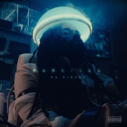 Cover of MENT-ILL (INSTRUMENTAL VERSION)