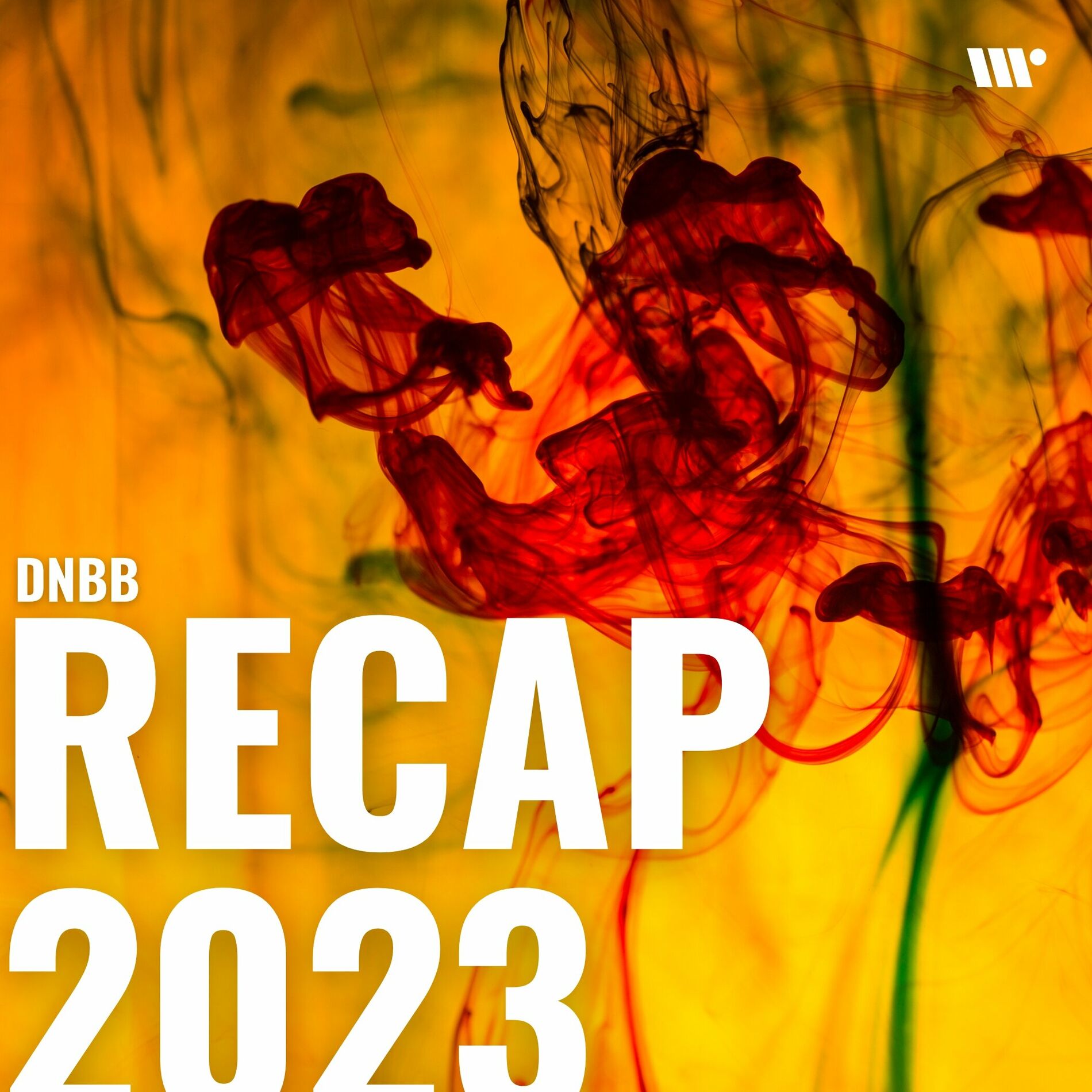 Album cover of DNBB Recap 2023