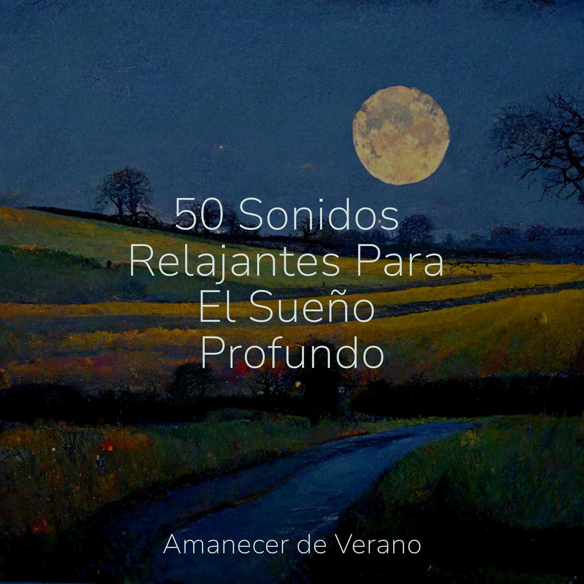Album cover of 50 Sonidos Relajantes Para El Sueño Profundo