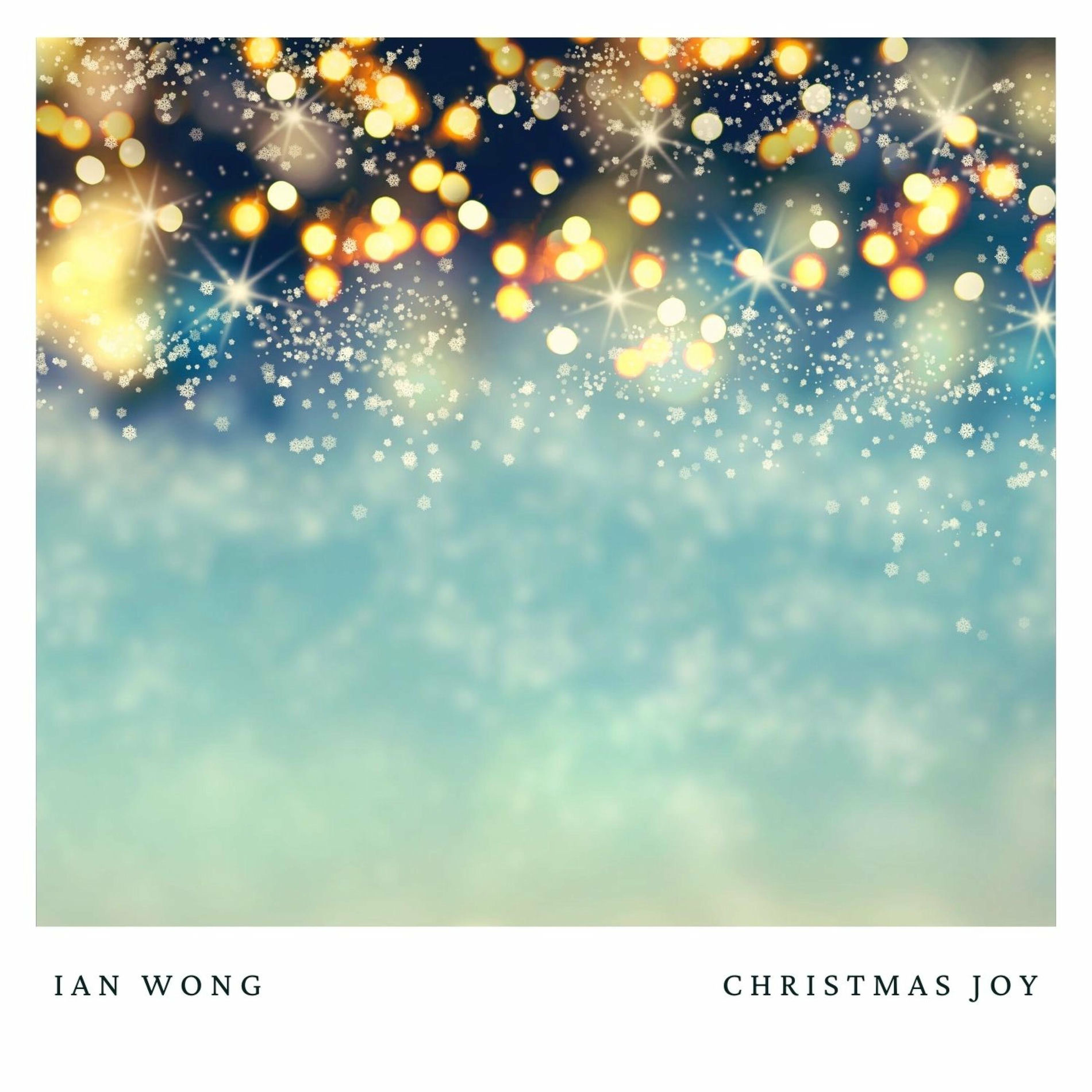 Album cover of Christmas Joy