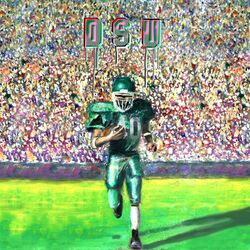Cover of DSU