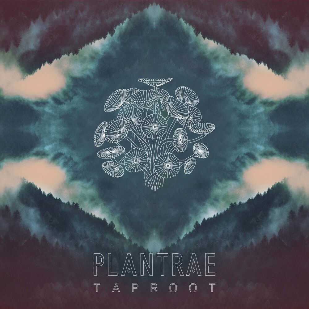 Picture of Taproot
