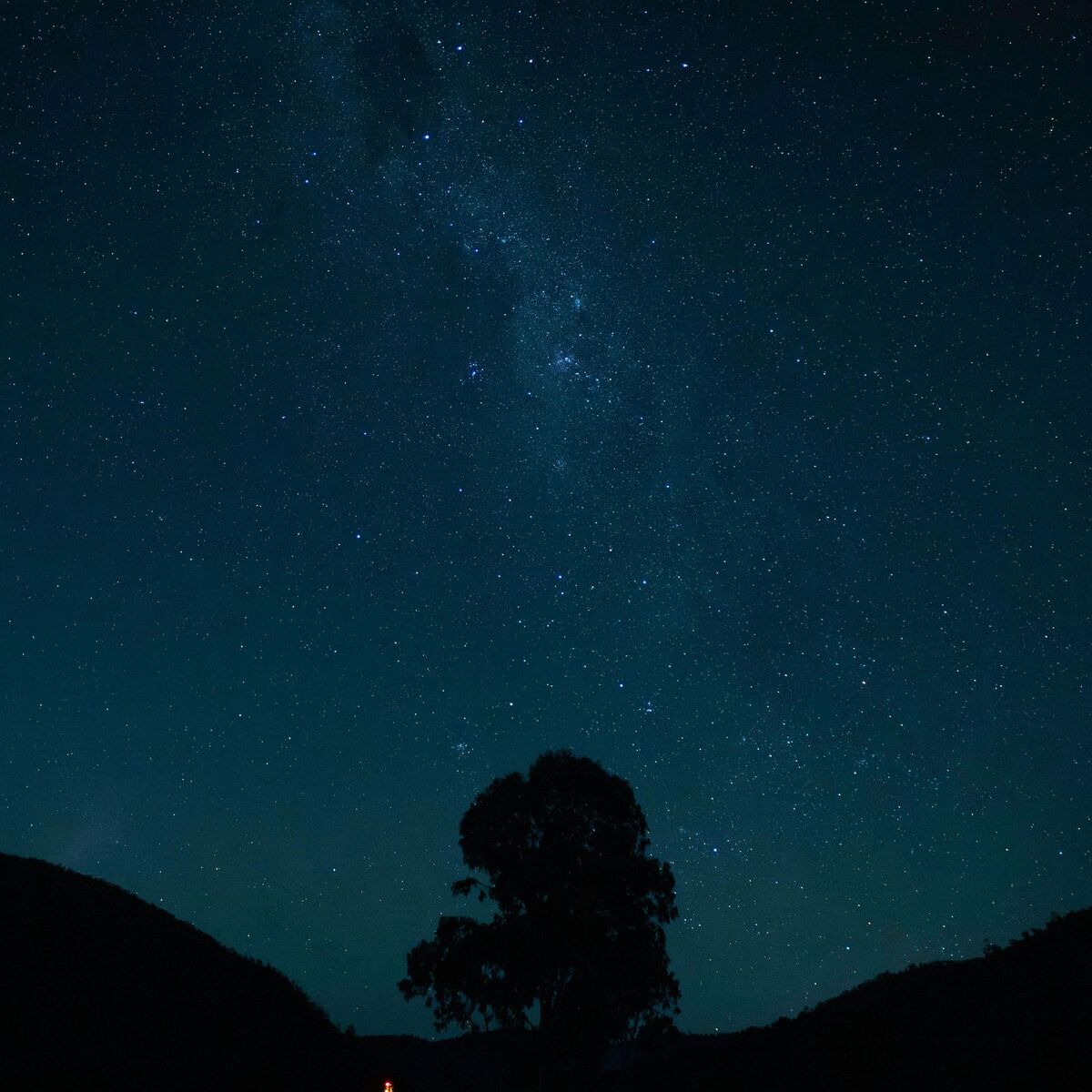 Album cover of Endless Harmony
