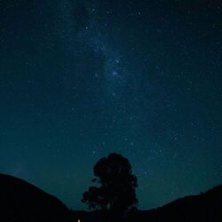 Endless Harmony
