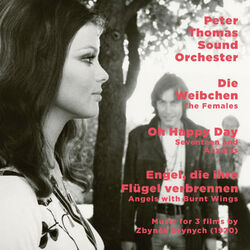 Cover of Die Weibchen / Oh Happy Day / Engel, die ihre Flügel verbrennen