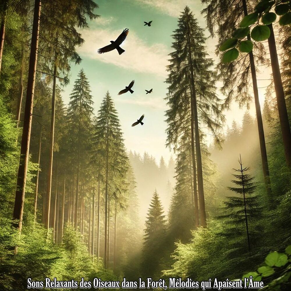 Picture of Sons Relaxants des Oiseaux dans la Forêt, Mélodies qui Apaisent l'Âme