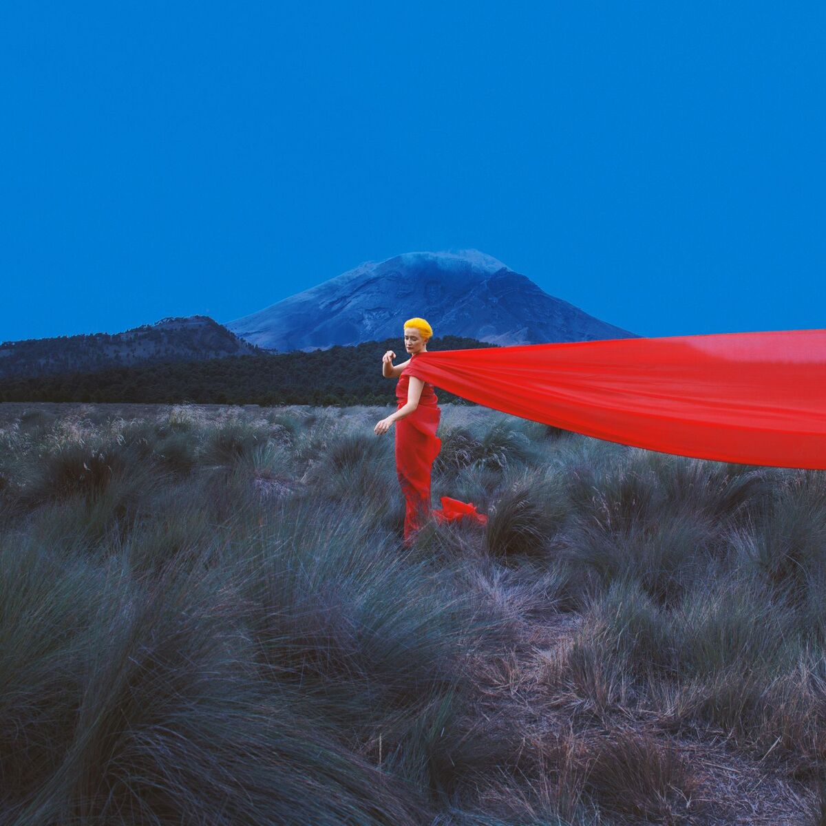 Album cover of La Fuerza