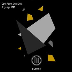 Cover of Flying EP