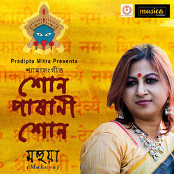 Cover of Son Pashani Son