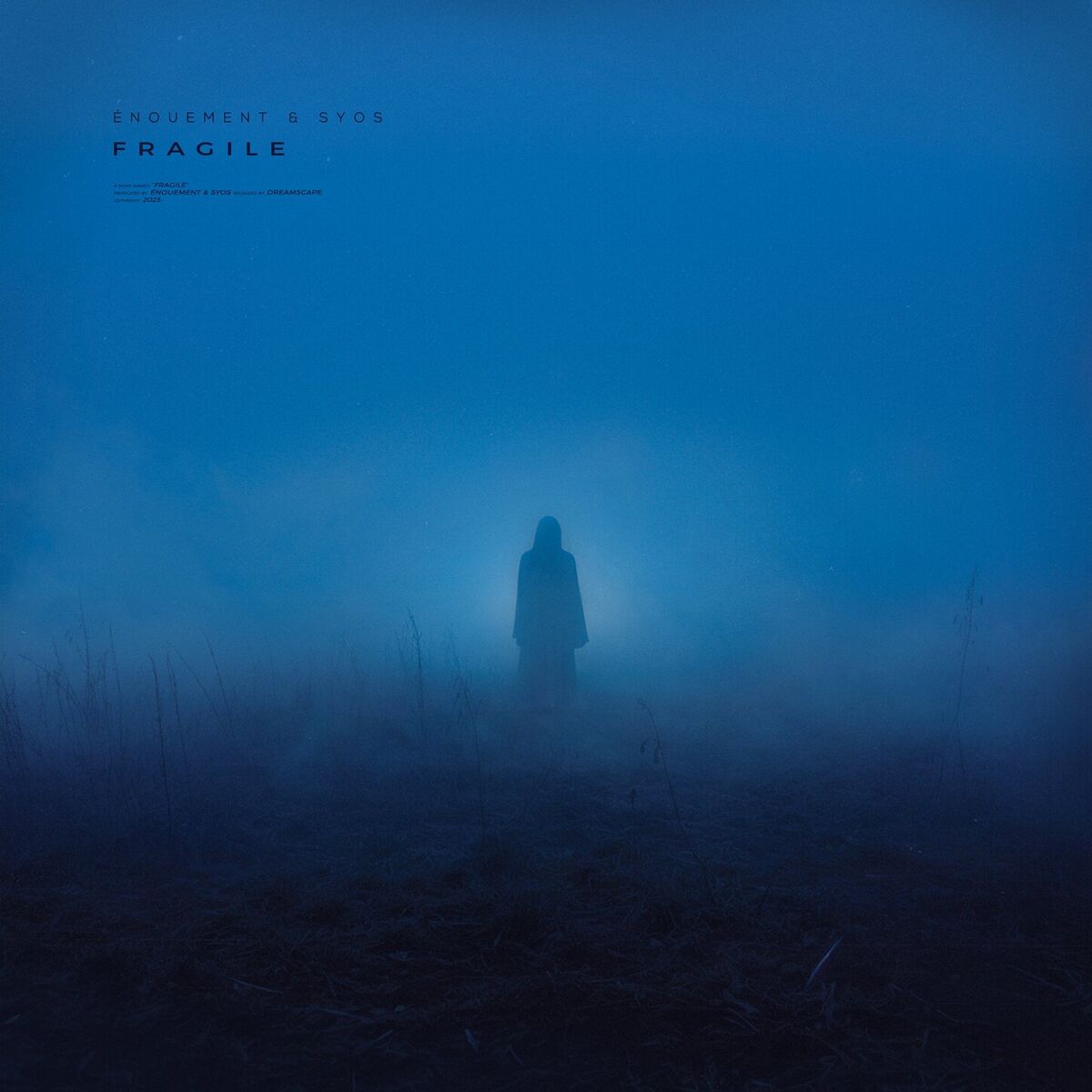 Album cover of fragile