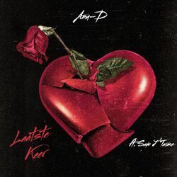 Cover of Laatste Keer