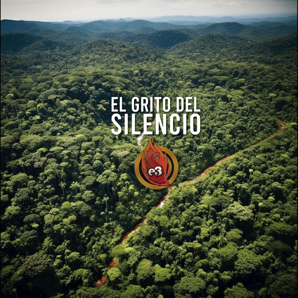 Picture of El Grito del Silencio