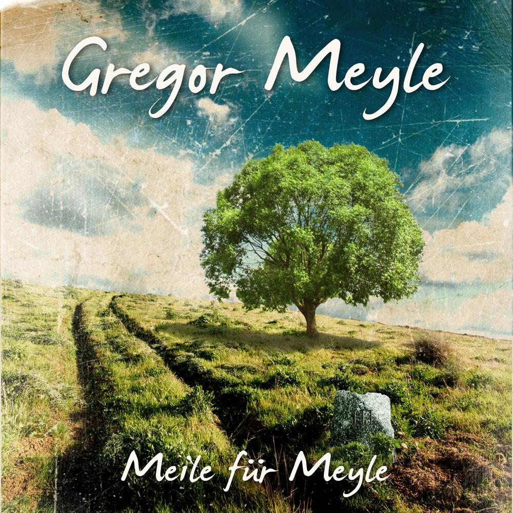 Picture of Meile für Meyle