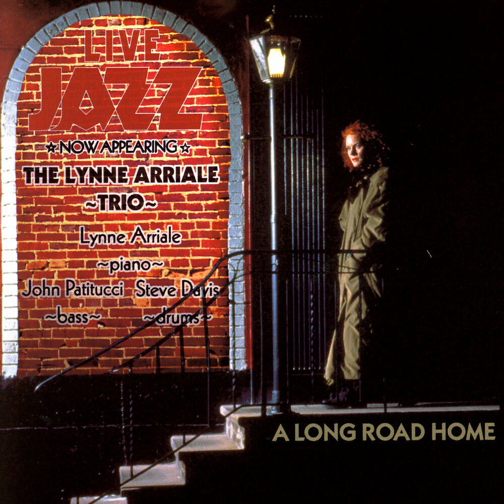 Picture of A Long Road Home