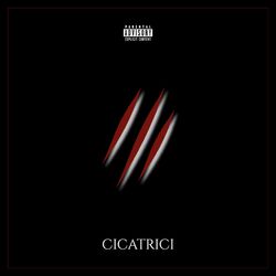 Cover of CICATRICI