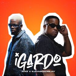 Cover of iGardo