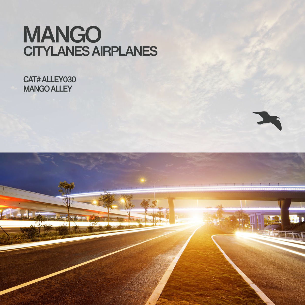 Album cover of Citylanes Airplanes